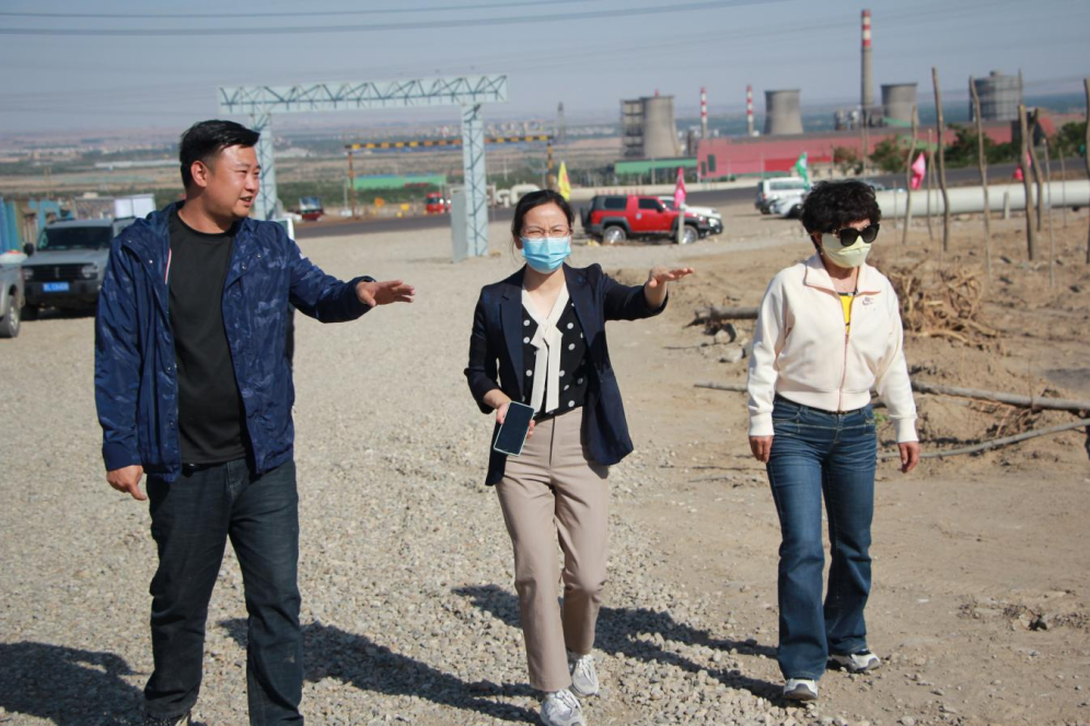 石嘴山市農業(yè)農村局副局長徐永霞、農經中心主任王曉斌一行蒞臨基地檢查指導